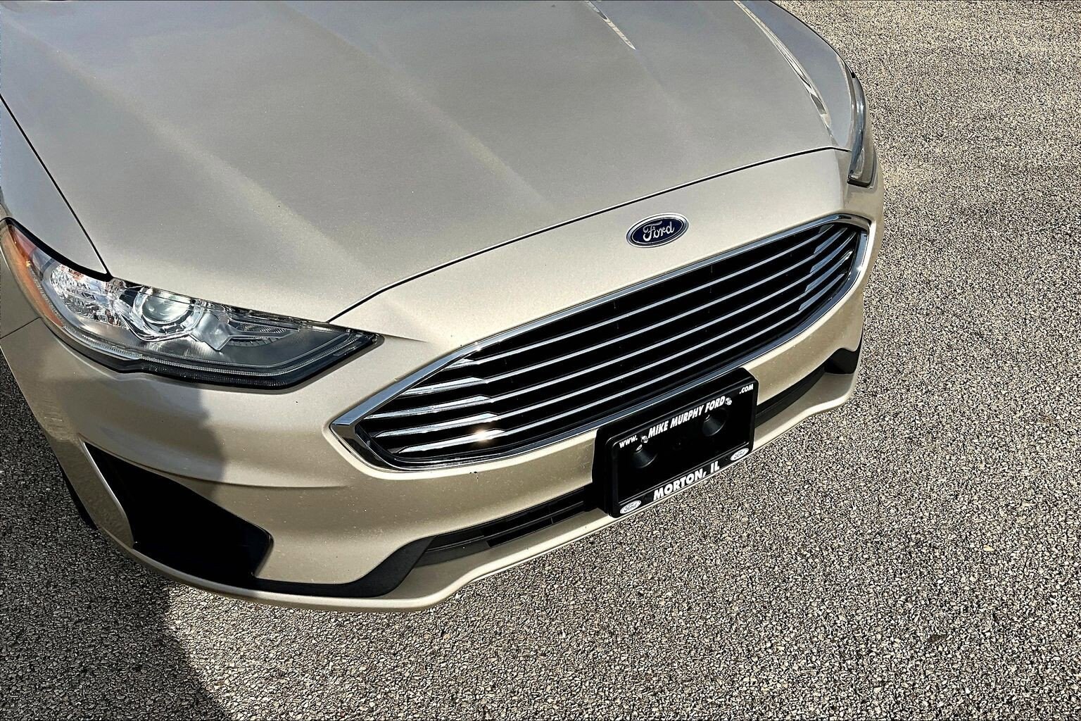 2019 Ford Fusion Hybrid SE photo 3