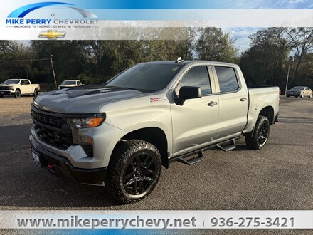 2025 Chevrolet Silverado 1500 Custom Trail Boss Truck