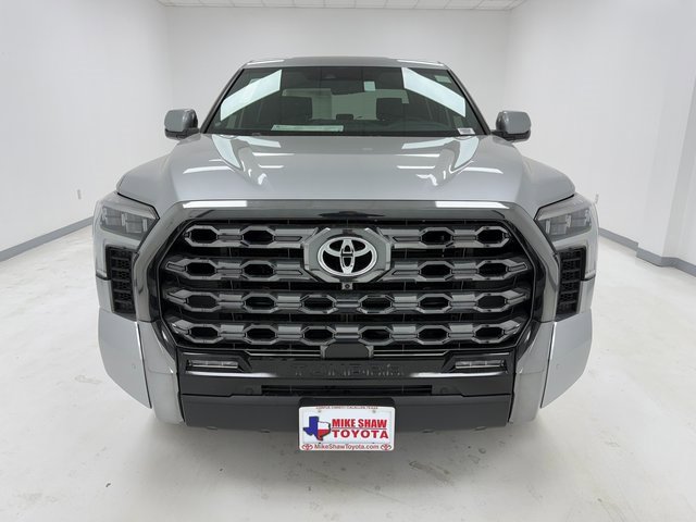 2025 Toyota Tundra Platinum photo 3