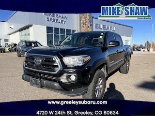 2019 Toyota Tacoma SR5 V6 Truck Double Cab 3TMCZ5AN8KM189121