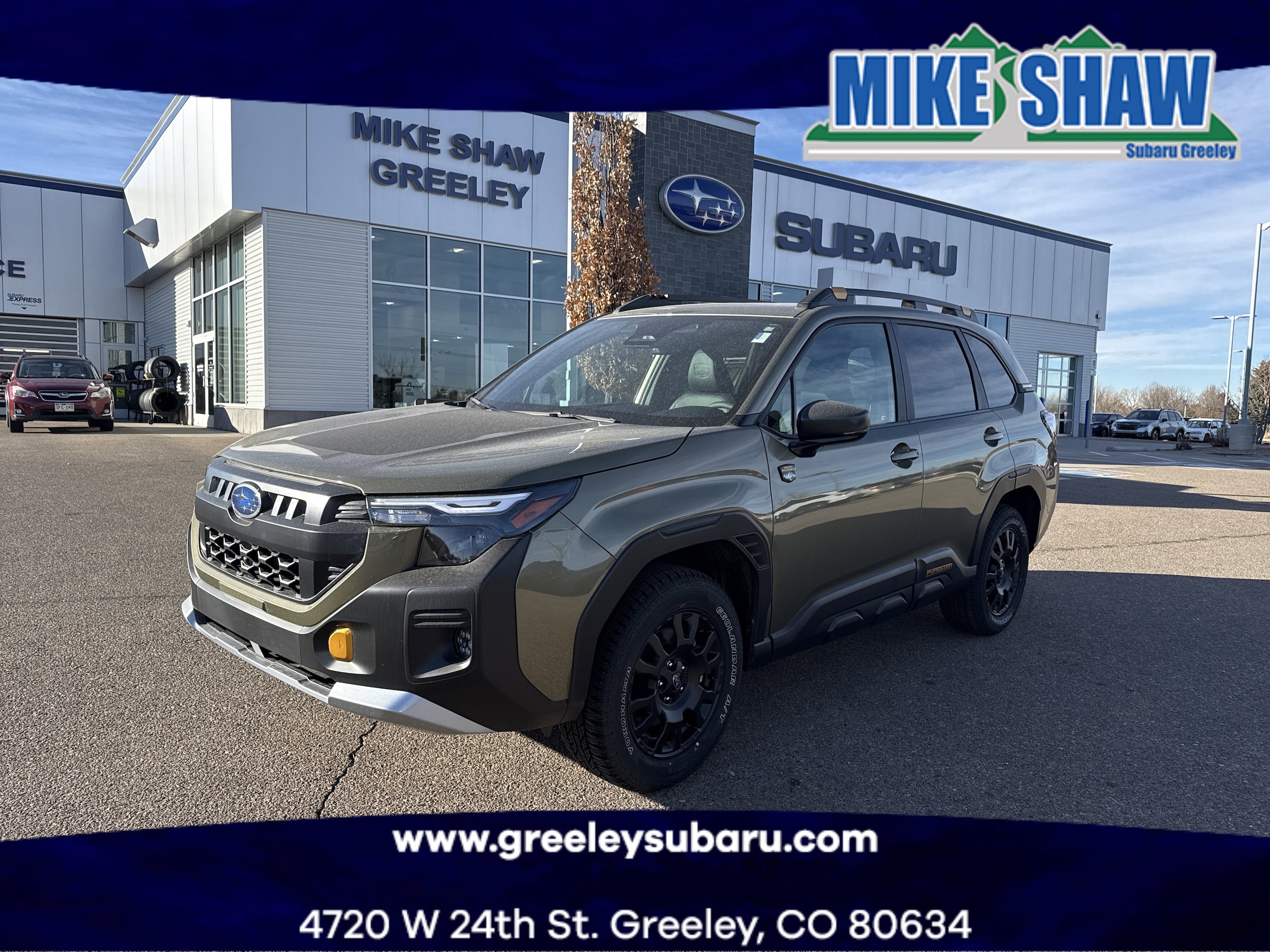 2026 Subaru Forester Wilderness's photo