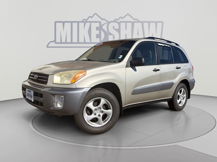 2003 Toyota RAV4 Sport Utility MSST30253319