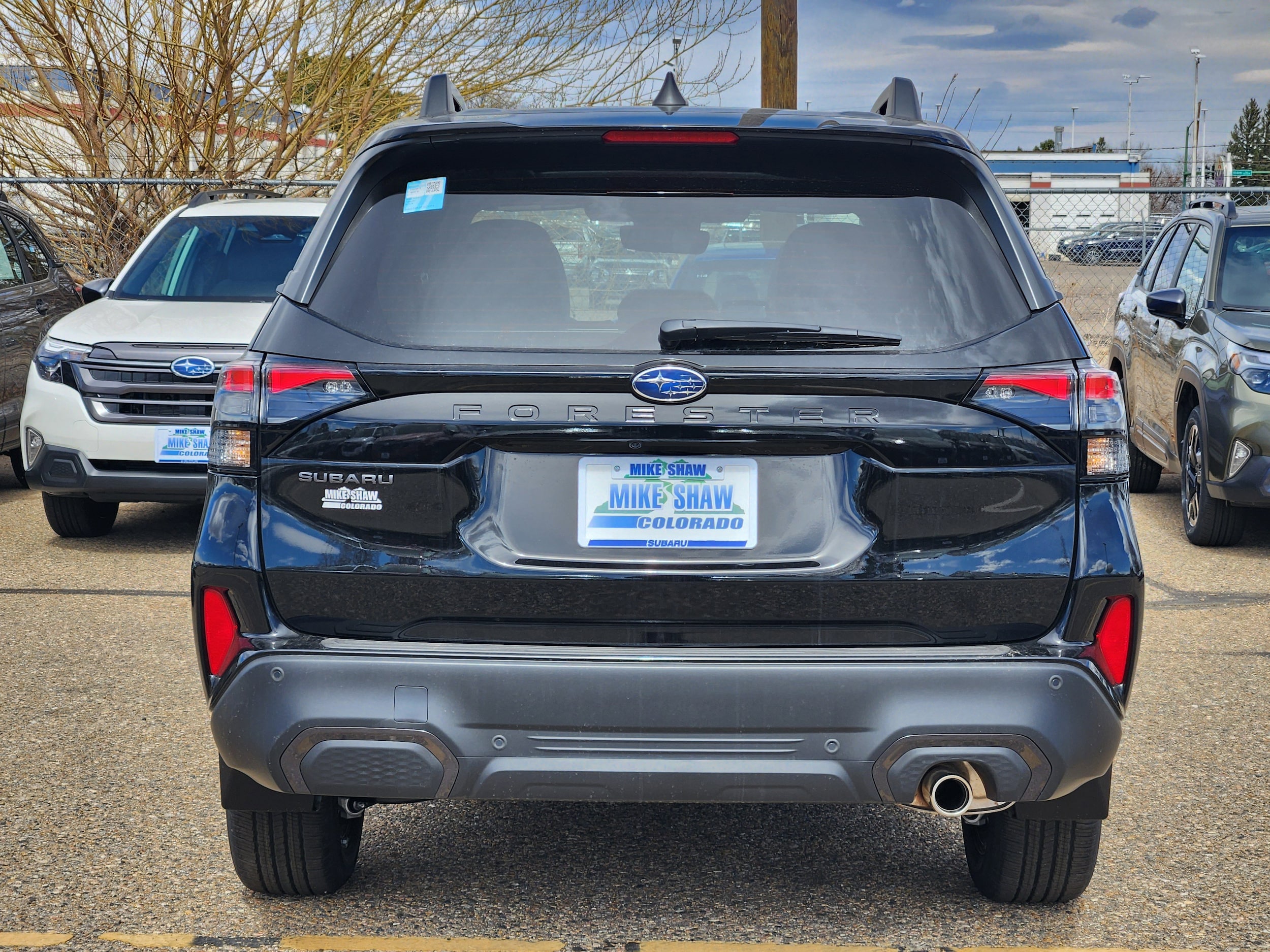 2026 Subaru Forester Limited - Photo 7