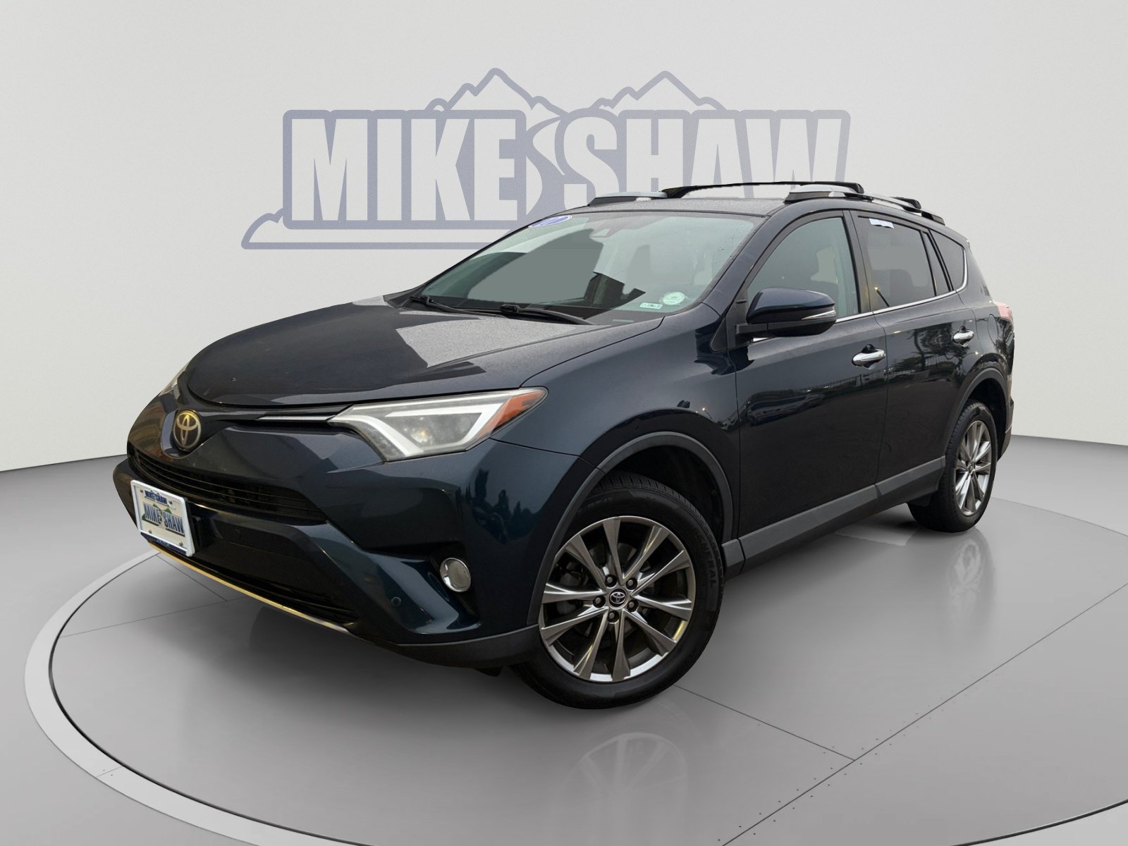 2017 Toyota RAV4 Limited Sport Utility MSSTHW615902