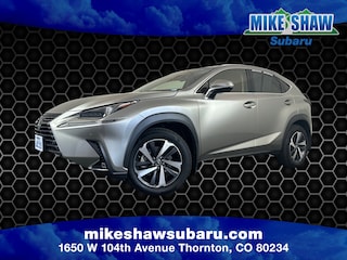 2020 LEXUS NX NX 300 Sport Utility MSSS200397