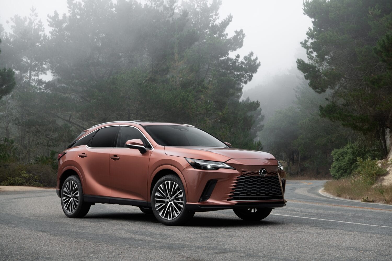 2025 Lexus RX 350 Dog Lover