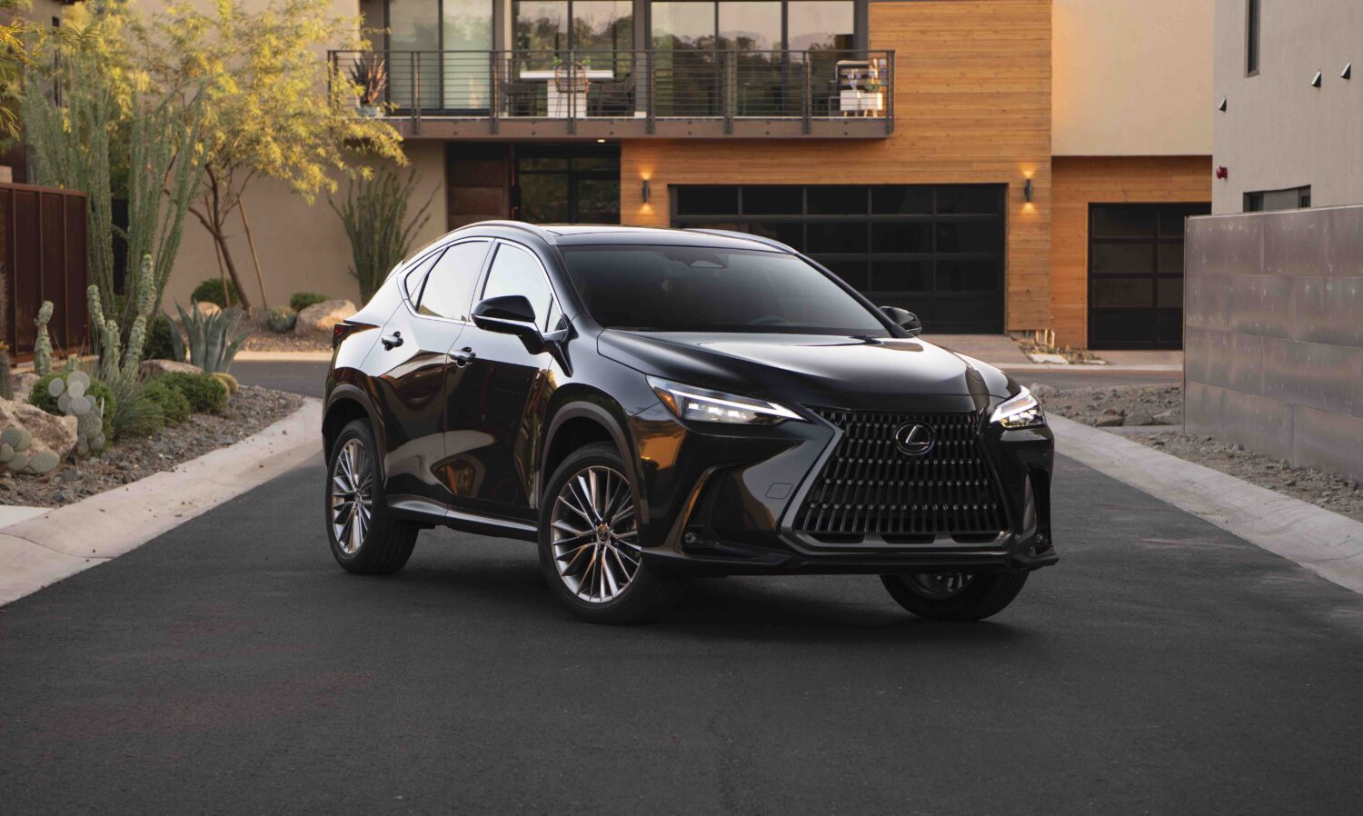 2025 Lexus NX250 Surfing