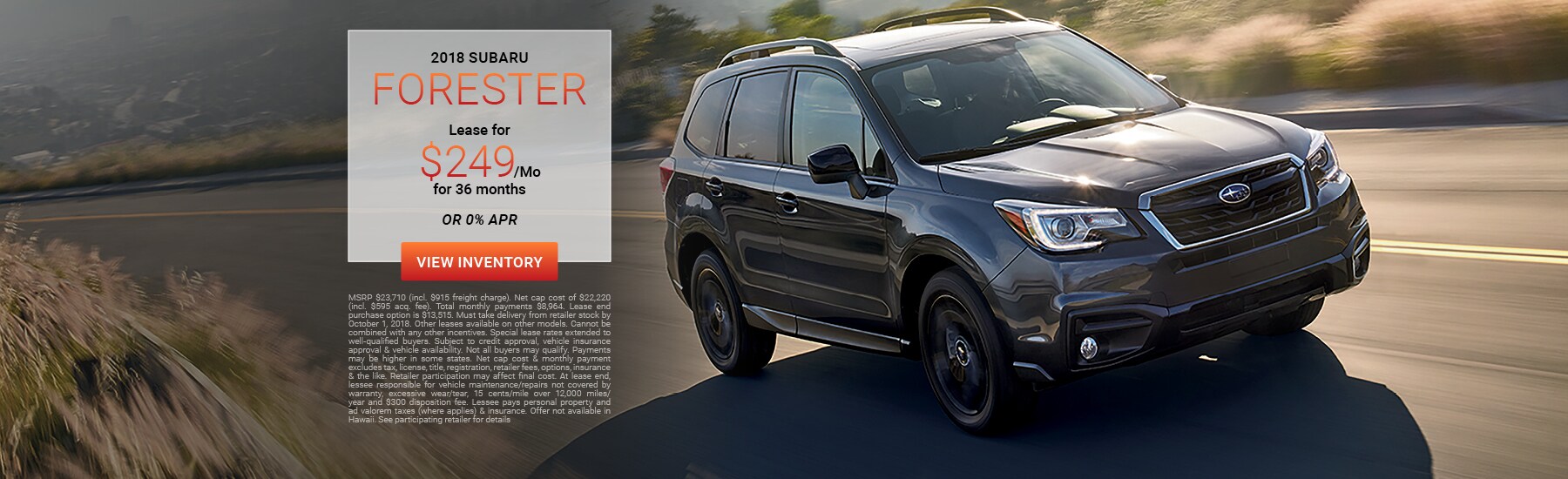 Suzuki Car Dealer In Bronx Ny Suzuki Car Dealer In Bronx Ny