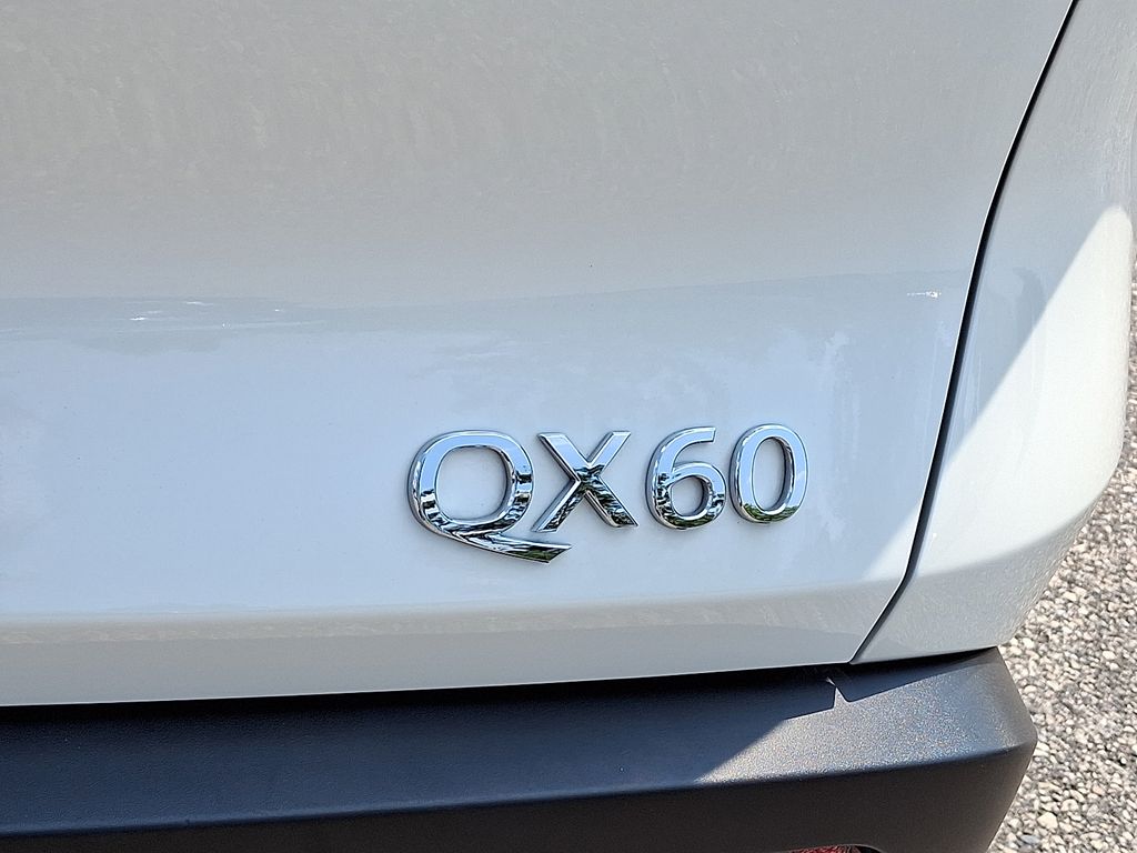 Photo 33
