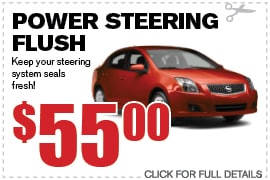 Power Steering Flush