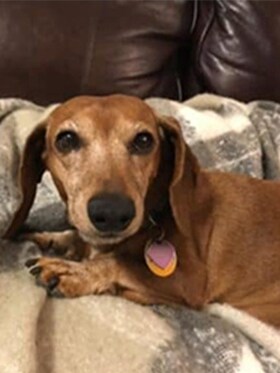 Staff member Penny Fedor from b1e5a82aa45a