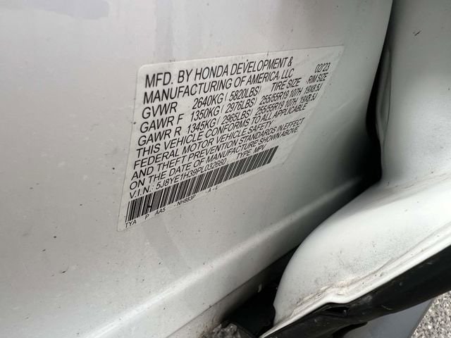 Photo 19