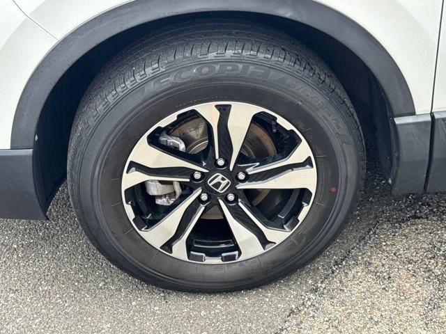 2022 Honda CR-V Special Edition photo 2