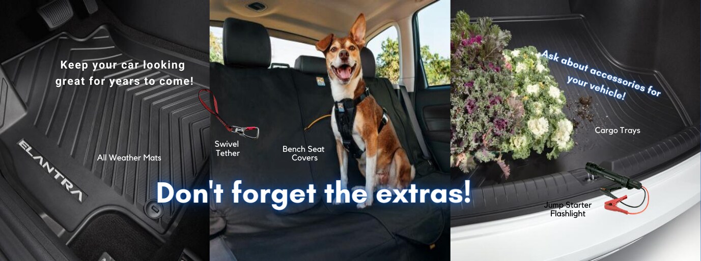 Miller Auto Team New Hyundai, Honda Dealership in Vestal, NY