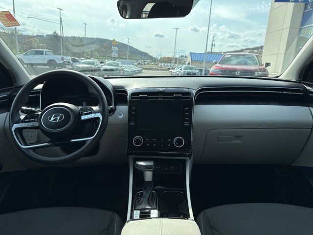 View 7