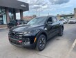  Hyundai Santa Cruz
