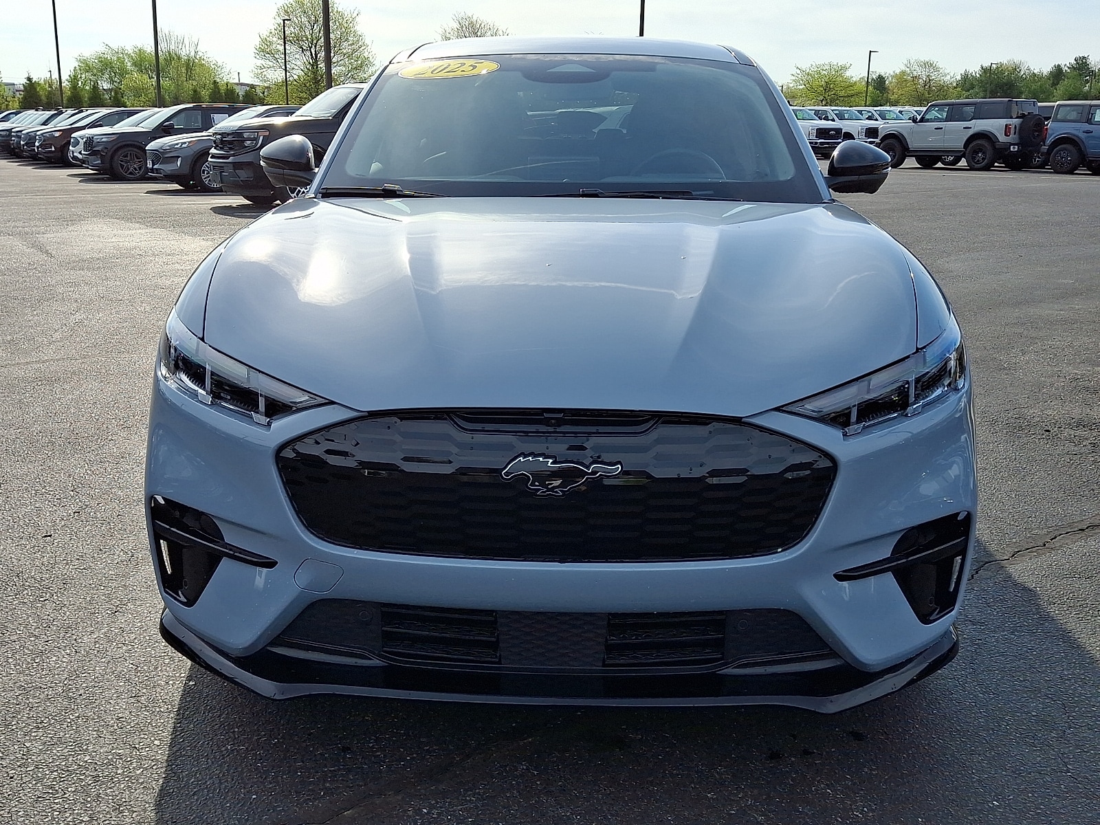 Used 2025 Ford Mustang Mach-E GT AWD with VIN 3FMTK4SX7SMA11890 for sale in Lumberton, NJ