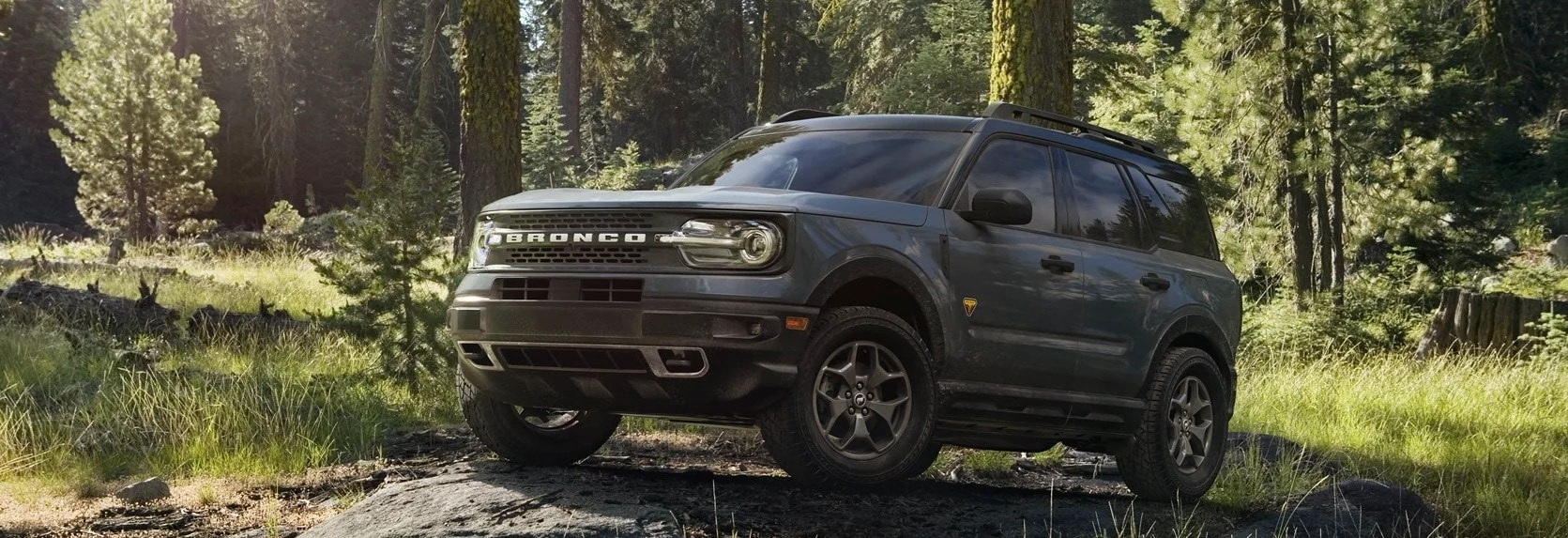 Ford Vehicles for Sale