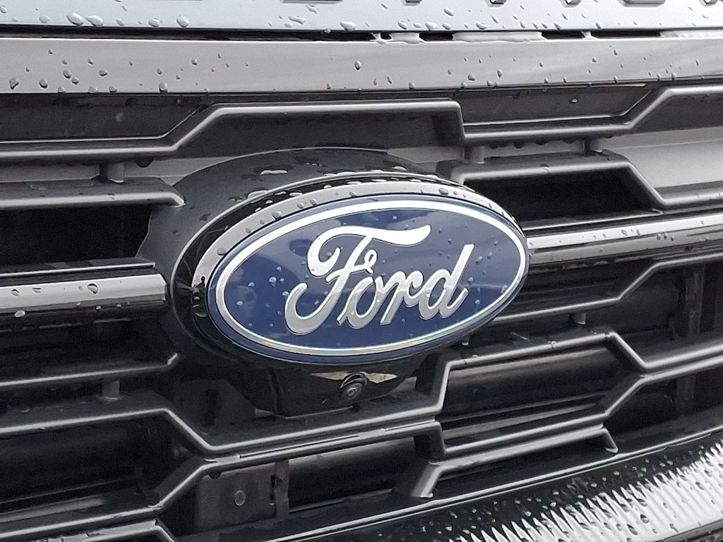 Certified 2025 Ford Expedition Active Sport Utility