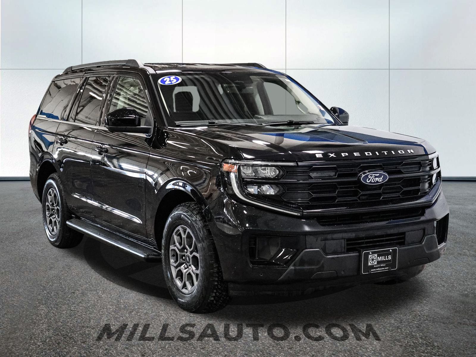 2025 Ford Expedition Active - Photo 11