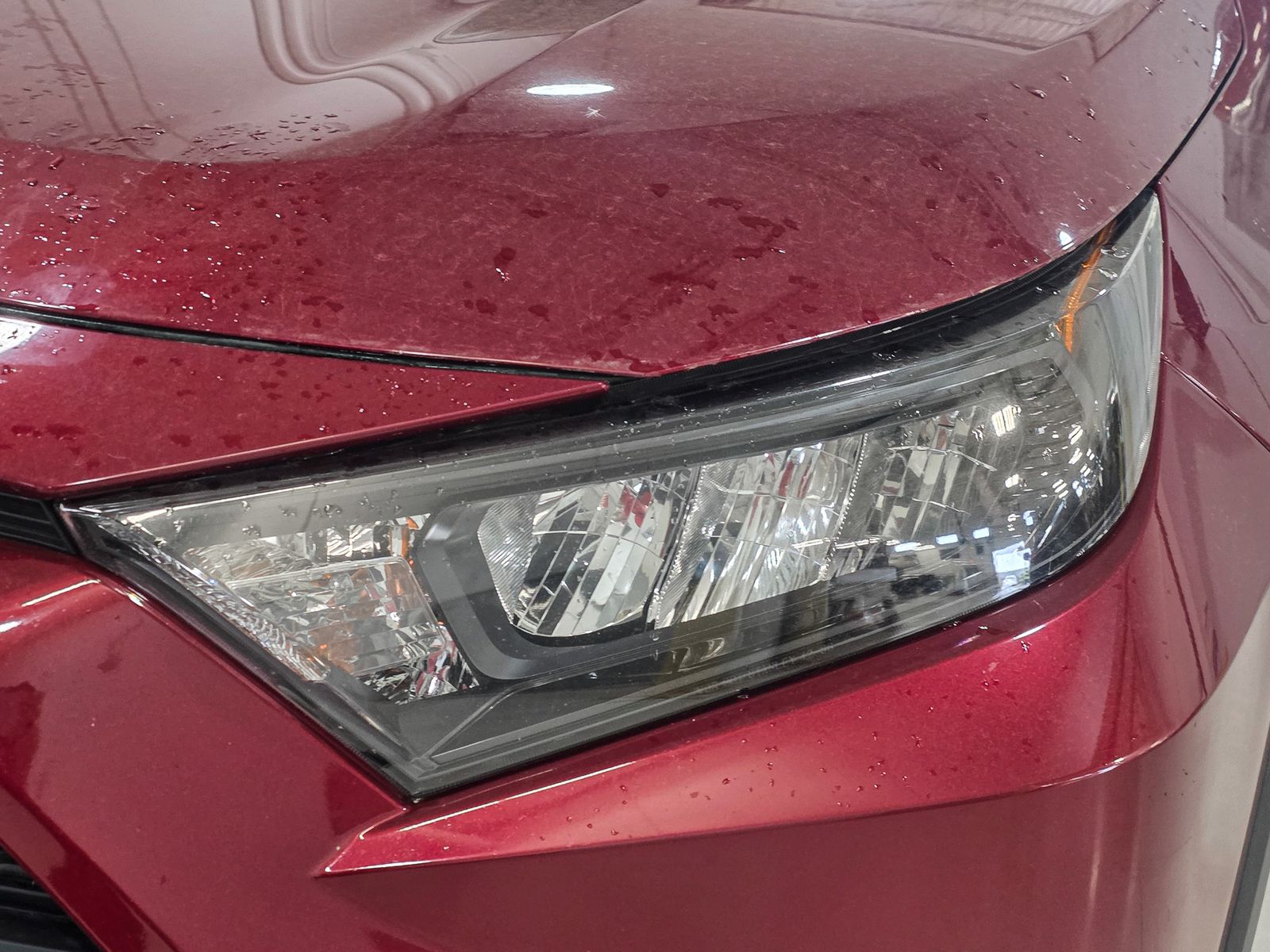 2019 Toyota RAV4 LE - Photo 14