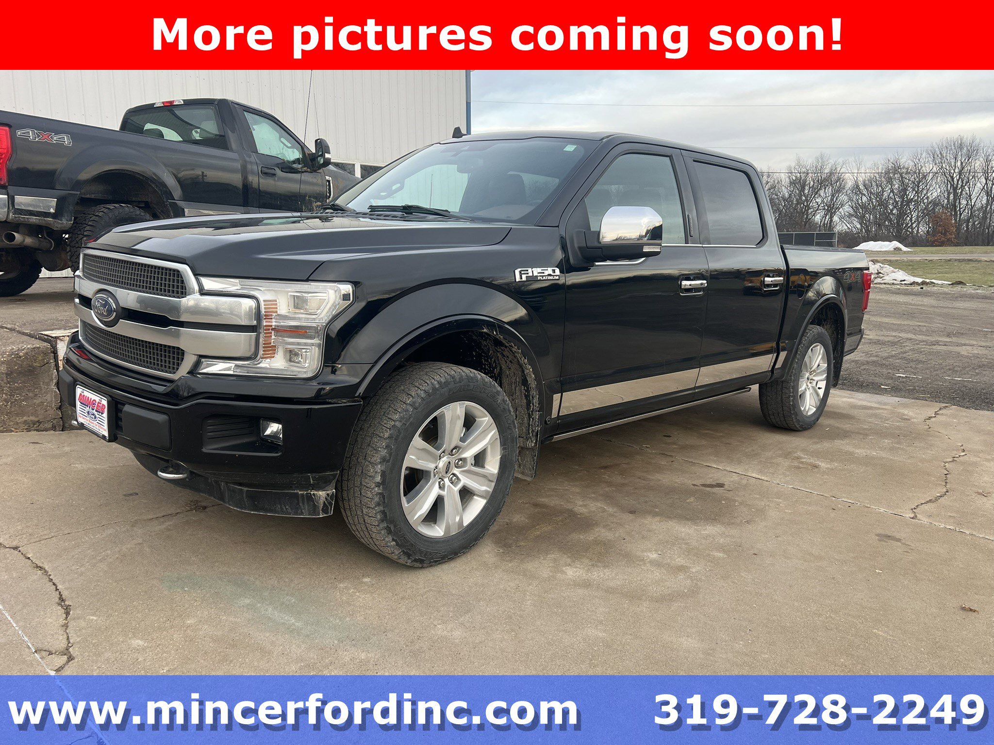 2020 Ford F-150 Platinum's photo