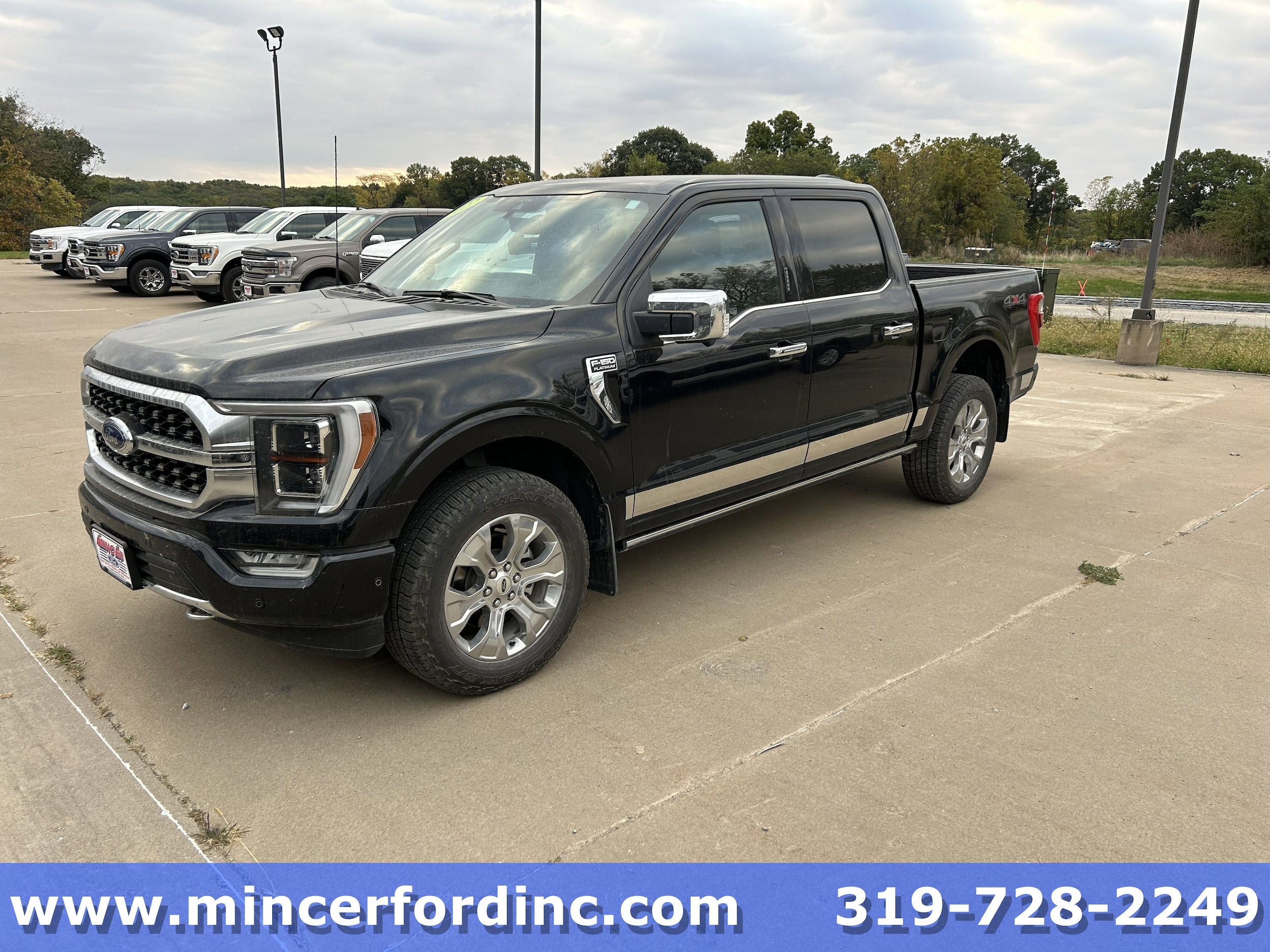 2022 Ford F-150 Platinum's photo