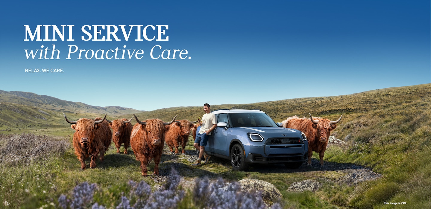 Person standing in a grassy field beside a parked MINI Countryman S ALL4, with a Highland cow nearby.