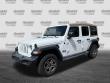 2020 Jeep Wrangler Unlimited Black and Tan Convertible