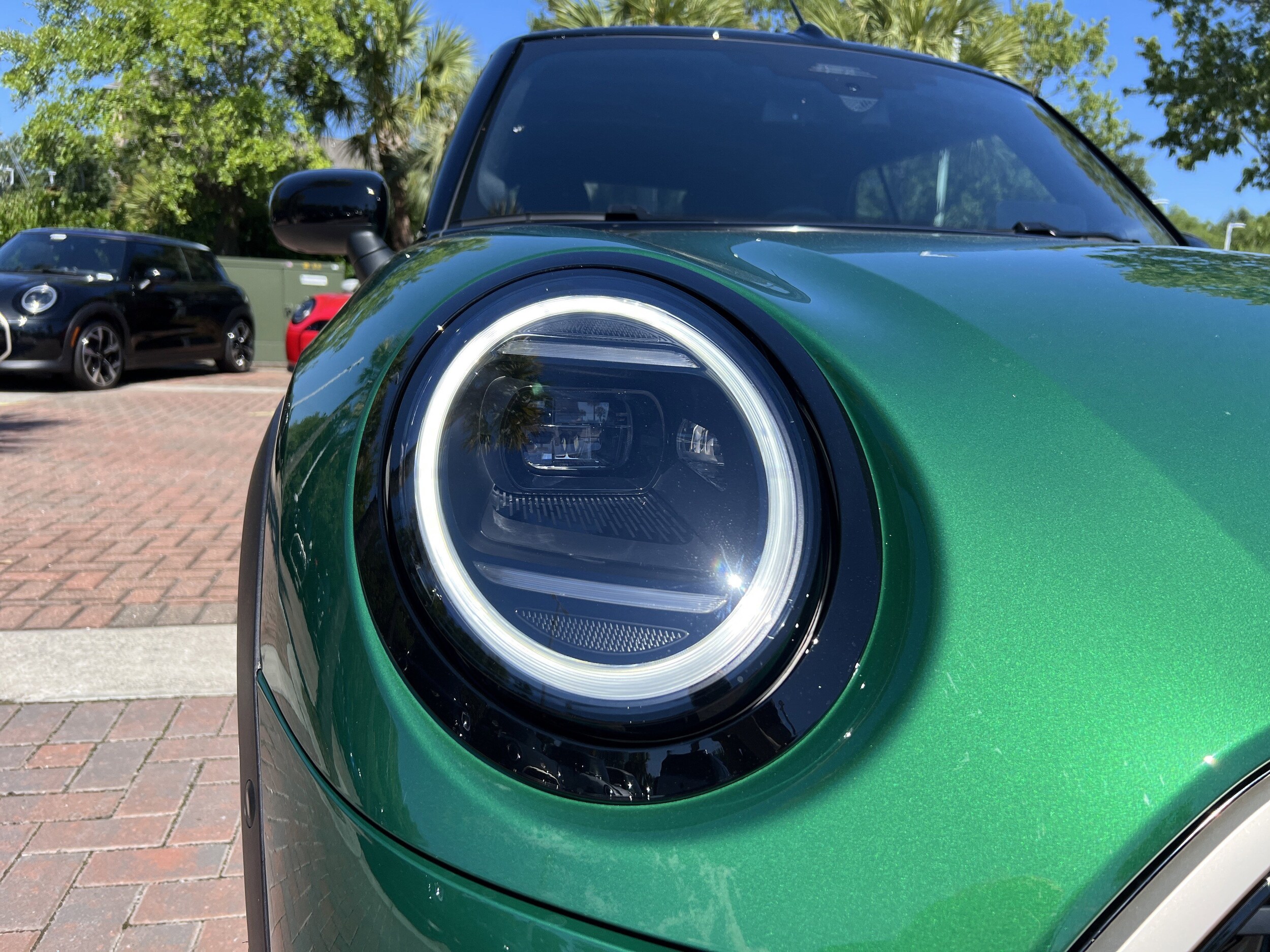New 2026 MINI Convertible For Sale in Charleston - VIN