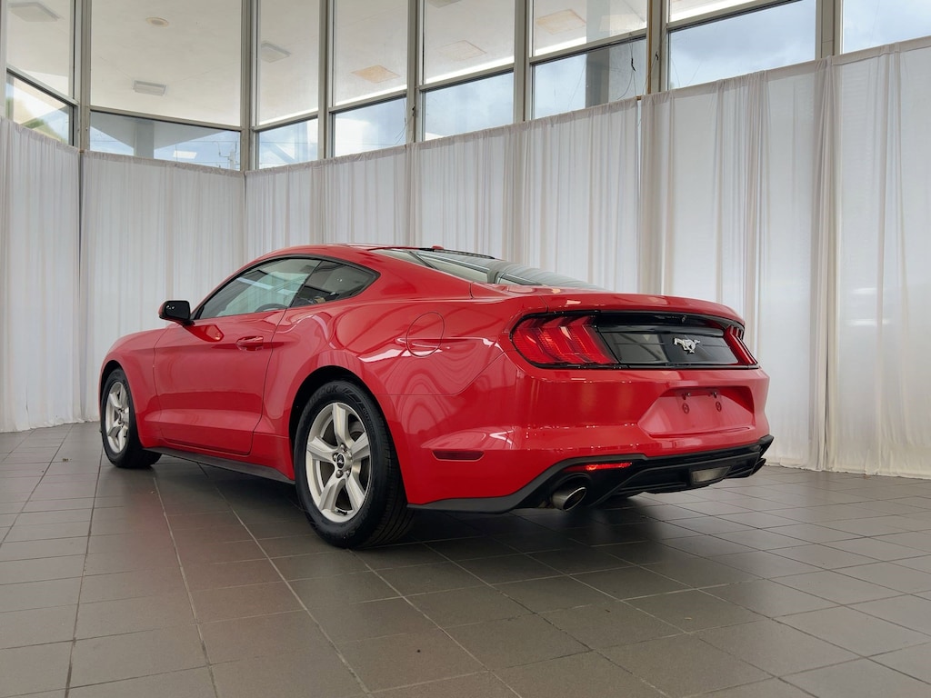 Used 2019 Ford Mustang Coupe