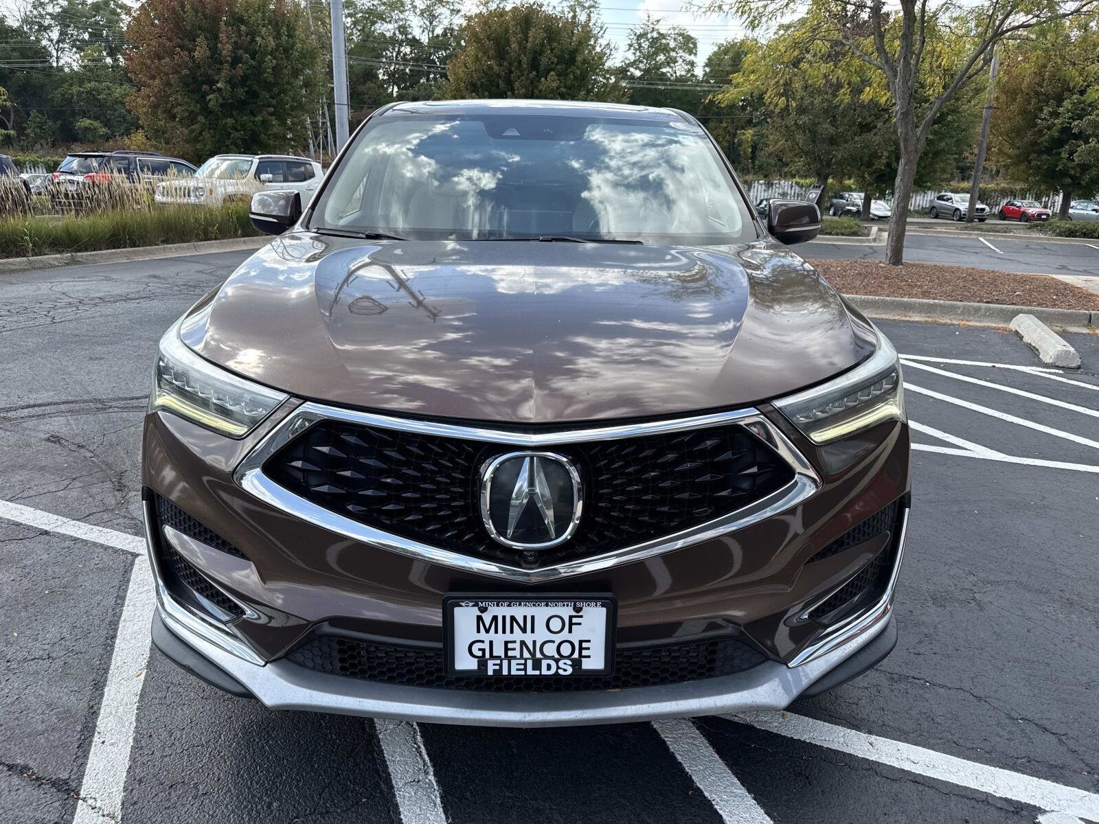 2019 Acura RDX Advance photo 2