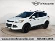Used 2013 Ford Escape SE SUV