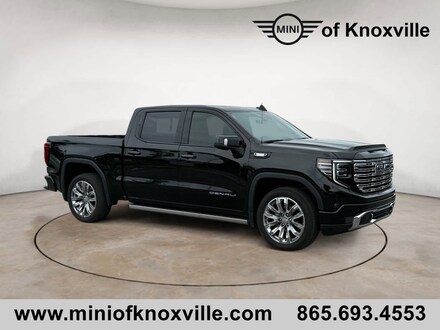 2024 GMC Sierra 1500 Denali 4WD Crew Cab 147 Truck Crew Cab