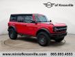 Used 2024 Ford Bronco Wildtrak SUV