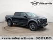 Used 2018 Ford F-150 Raptor 4WD Supercrew 5.5 Box Truck SuperCrew Cab