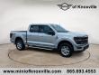 Used 2025 Ford F-150 XLT 4WD Supercrew 5.5 Box Truck SuperCrew Cab