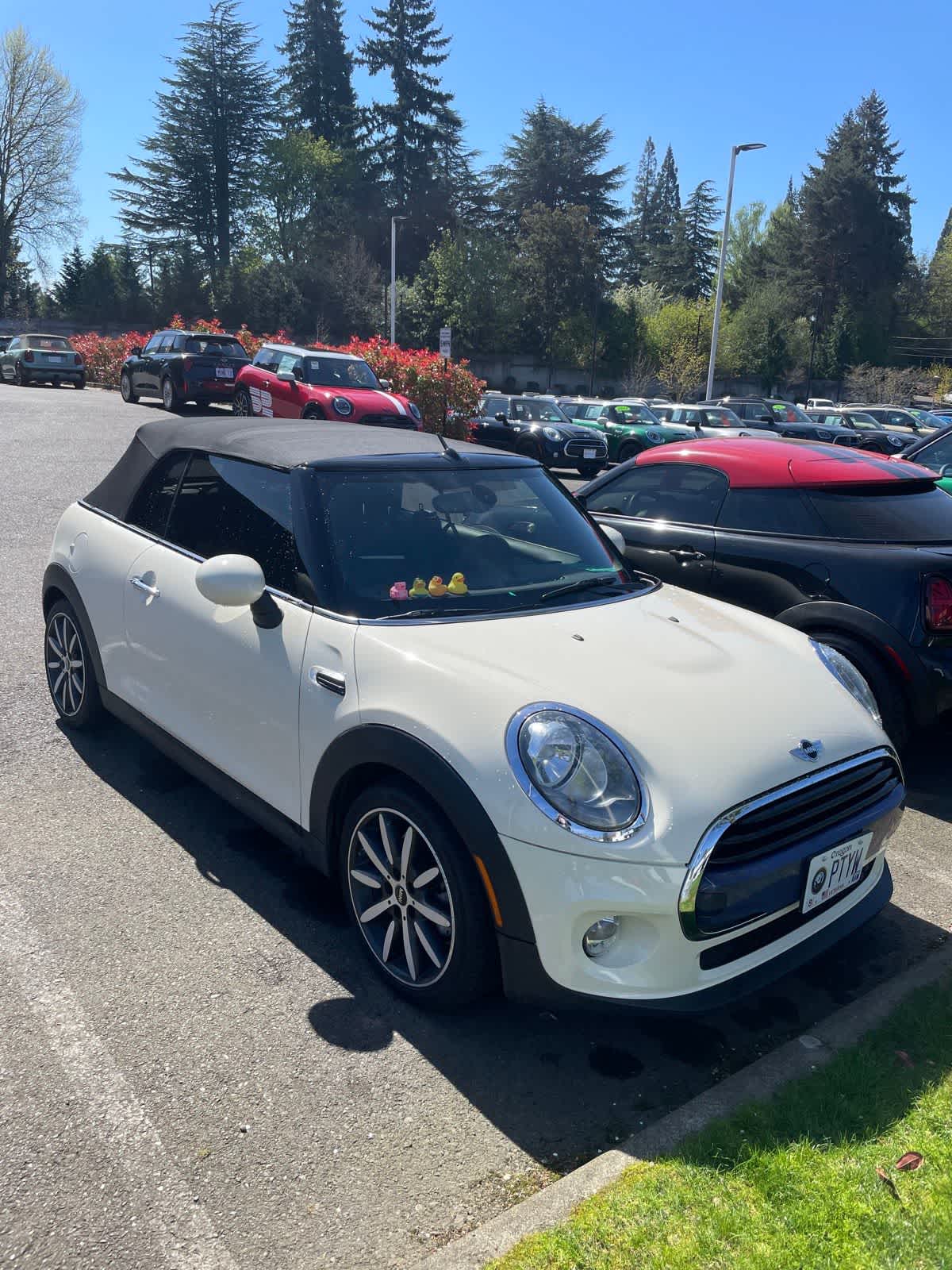 Thumbnail: 2018 MINI Cooper Convertible - 3