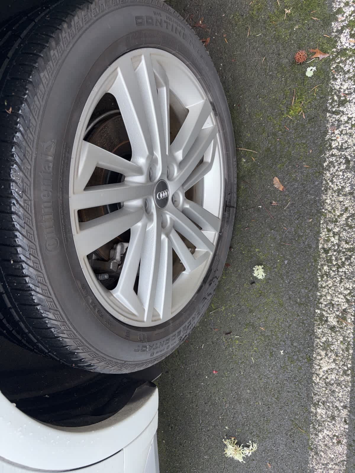 Thumbnail: 2019 Audi Q5 - 8