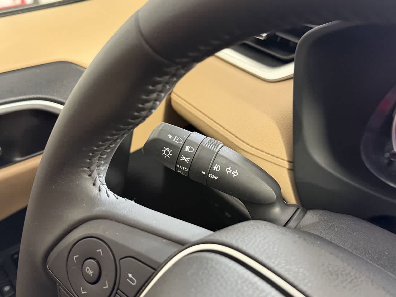 Thumbnail: 2019 Toyota RAV4 - 17