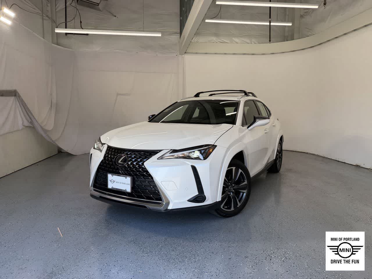 2024 Lexus UX 300h 250h Premium AWD's photo