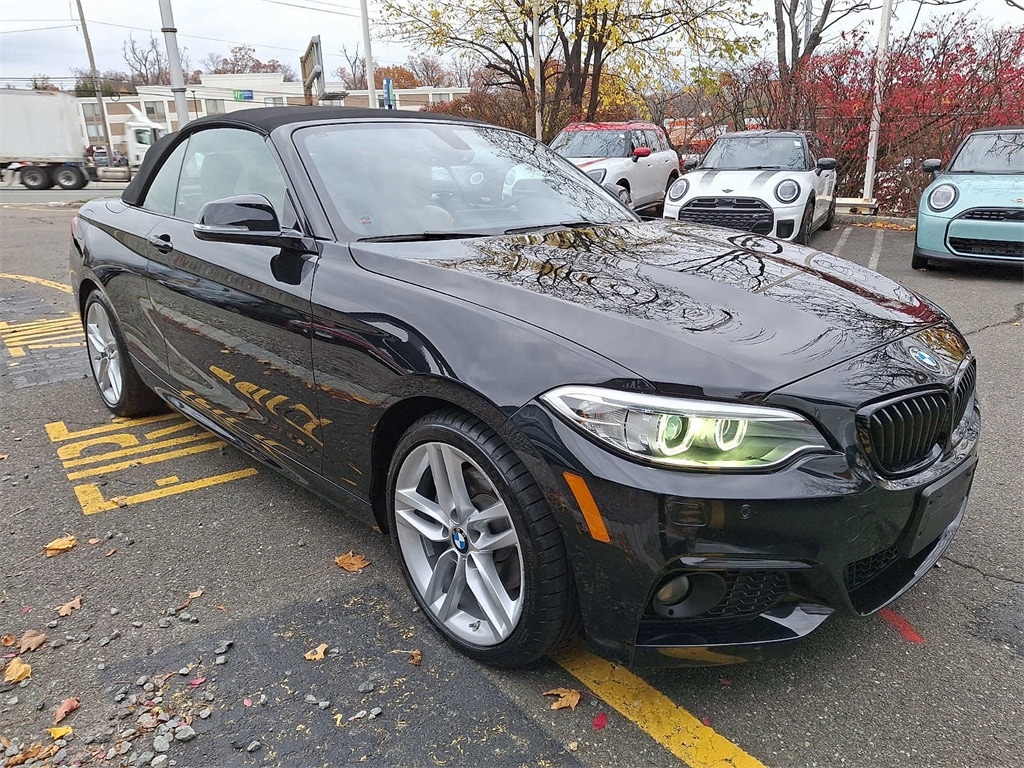 Thumbnail: 2017 BMW 2 Series - 30