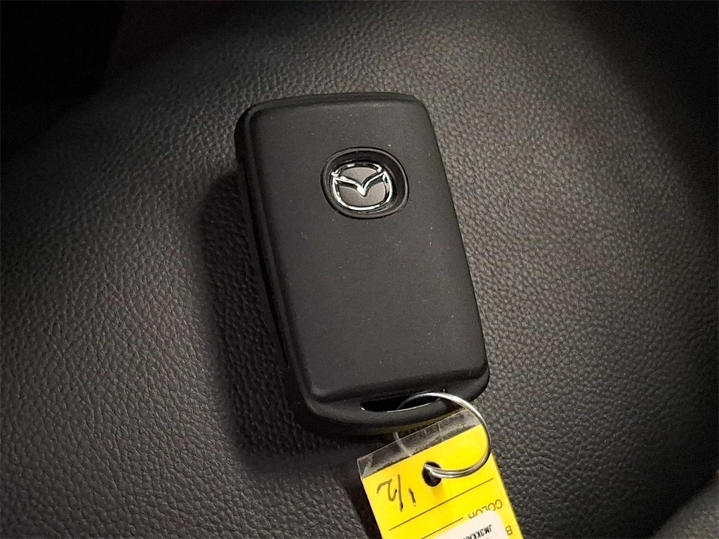 Thumbnail: 2024 Mazda CX-90 - 24