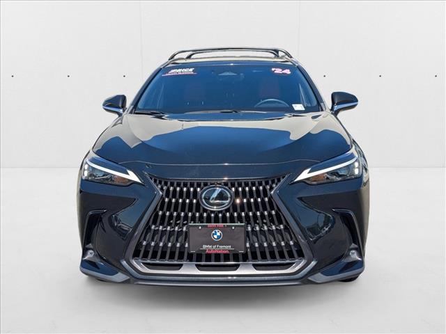 2024 Lexus NX 350h photo 2