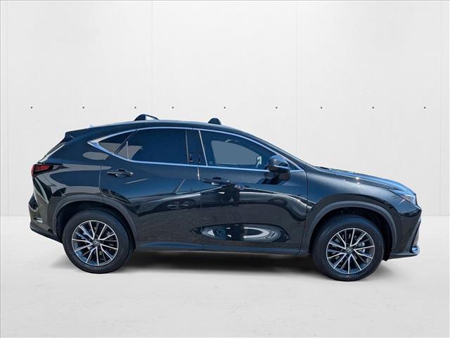 2024 Lexus NX 350h photo 3