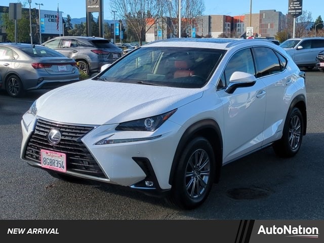 2019 Lexus NX Hybrid 300h's photo