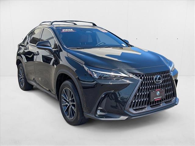 2024 Lexus NX 350h photo 2