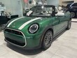  MINI Convertible