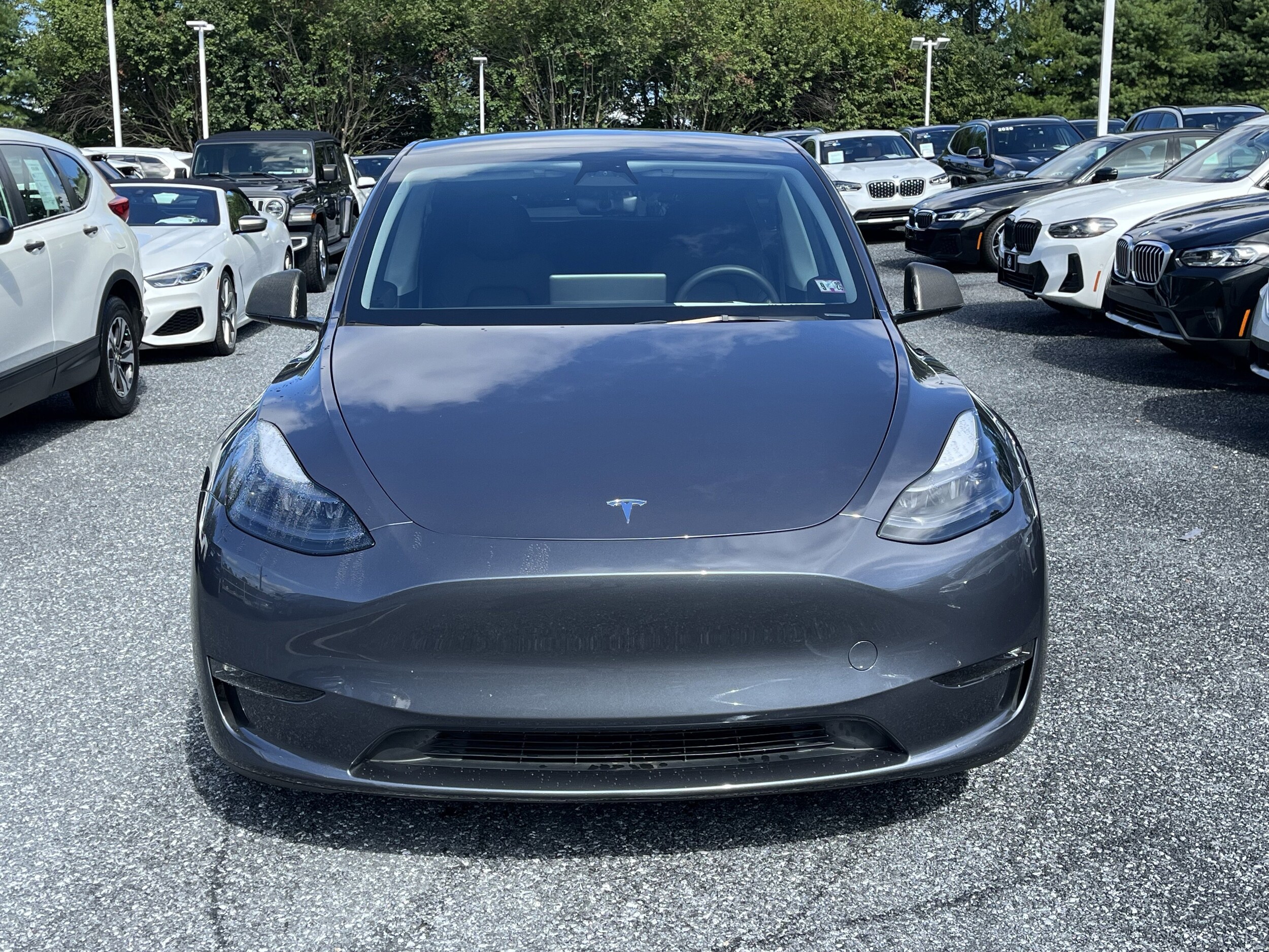 2023 Tesla Model Y Performance photo 2