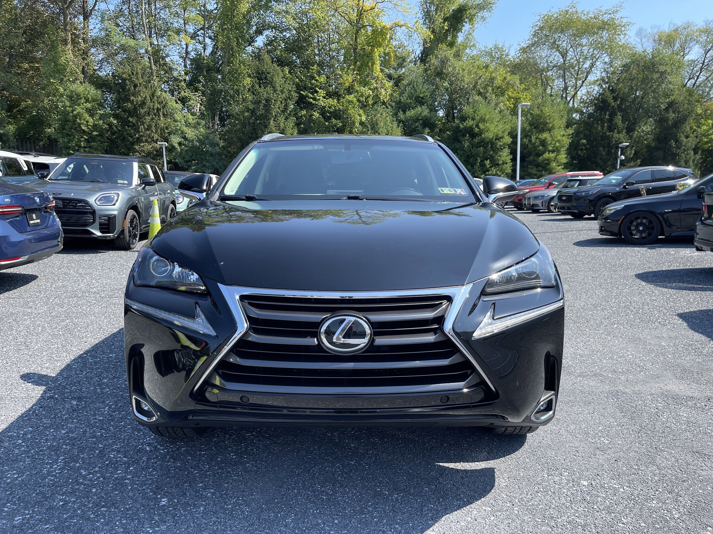 2016 Lexus NX 200t AWD photo 2